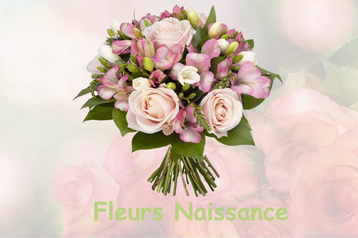 fleurs naissance QUINCIEU