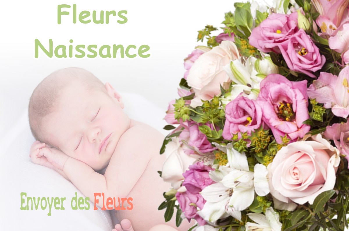 lIVRAISON FLEURS NAISSANCE à QUINCIEU