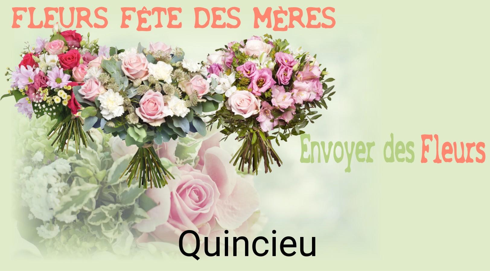Bouquet de Fête des Mères livré à Quincieu